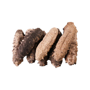 Mexican Dried Sea Cucumber (4 taels)