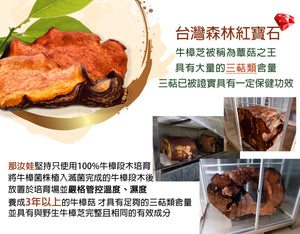 Naruwa Antrodia Cinnamomea Extract Essence Capsule(10 Capsules)