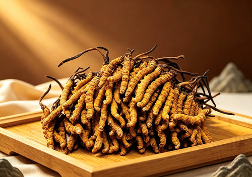 Wild Cordyceps(Each tael)