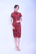 Antonio Ladies Lace Qi Pao 2023-2317