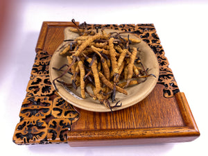 Cordyceps(King)(1 tael)