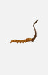 Cordyceps(King)(1 tael)