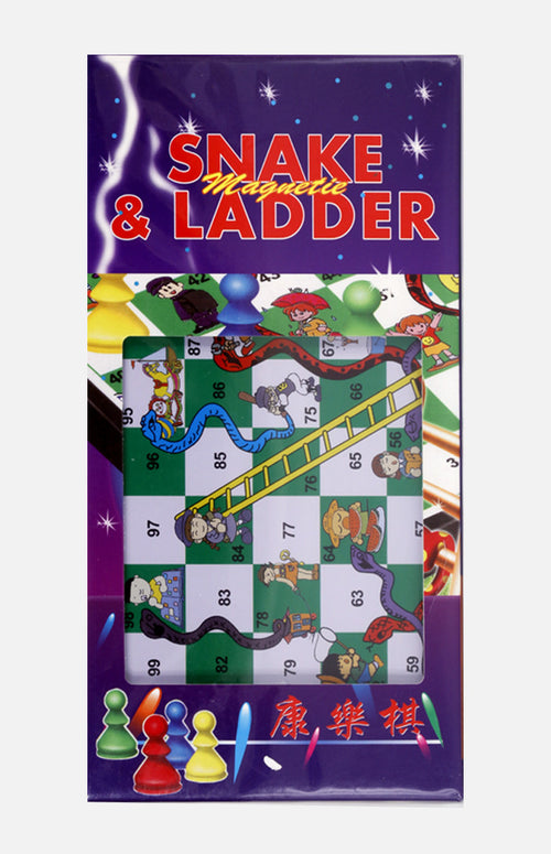 Magnetic Sakes & Ladders